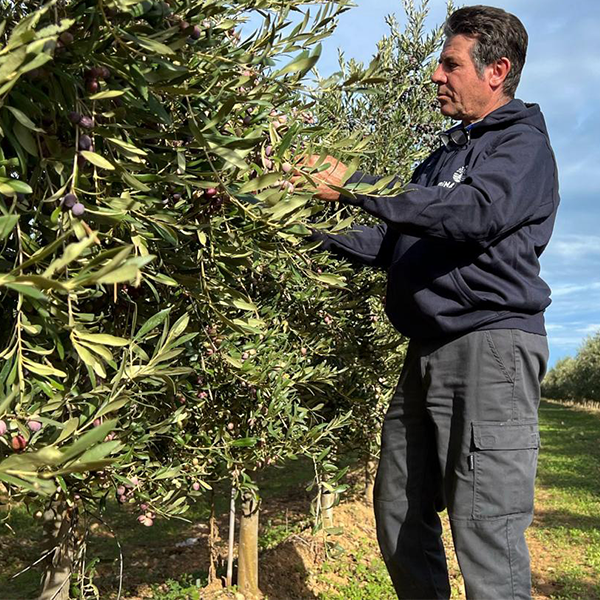 Azienda%20Agricola%20Minaturo