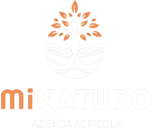 Minaturo