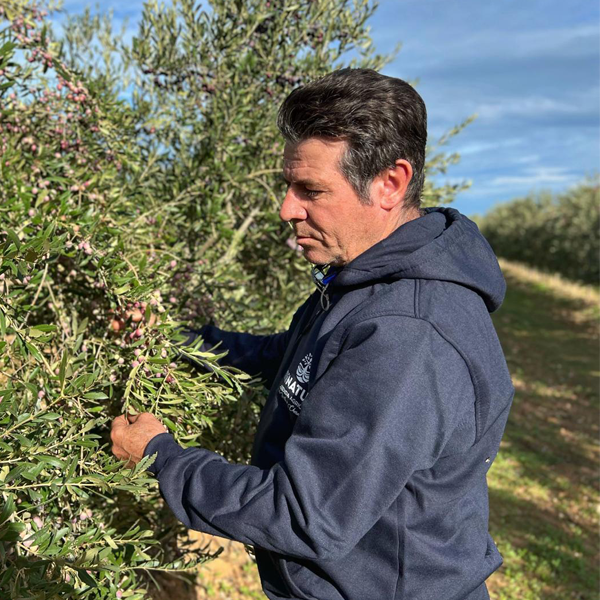 Azienda%20Agricola%20Minaturo