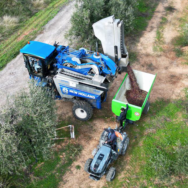 Azienda%20Agricola%20Minaturo