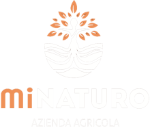 Minaturo